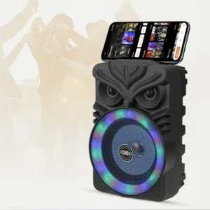 Outdoor Portable Music Player